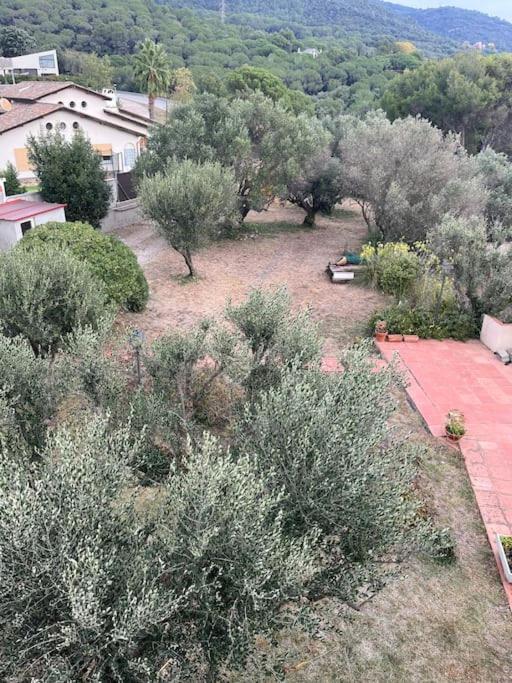 فيلا Casa Cal Duc, لا غارّيغا المظهر الخارجي الصورة